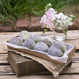 战棋游戏《史莱姆的大野望》用人类占领全世界